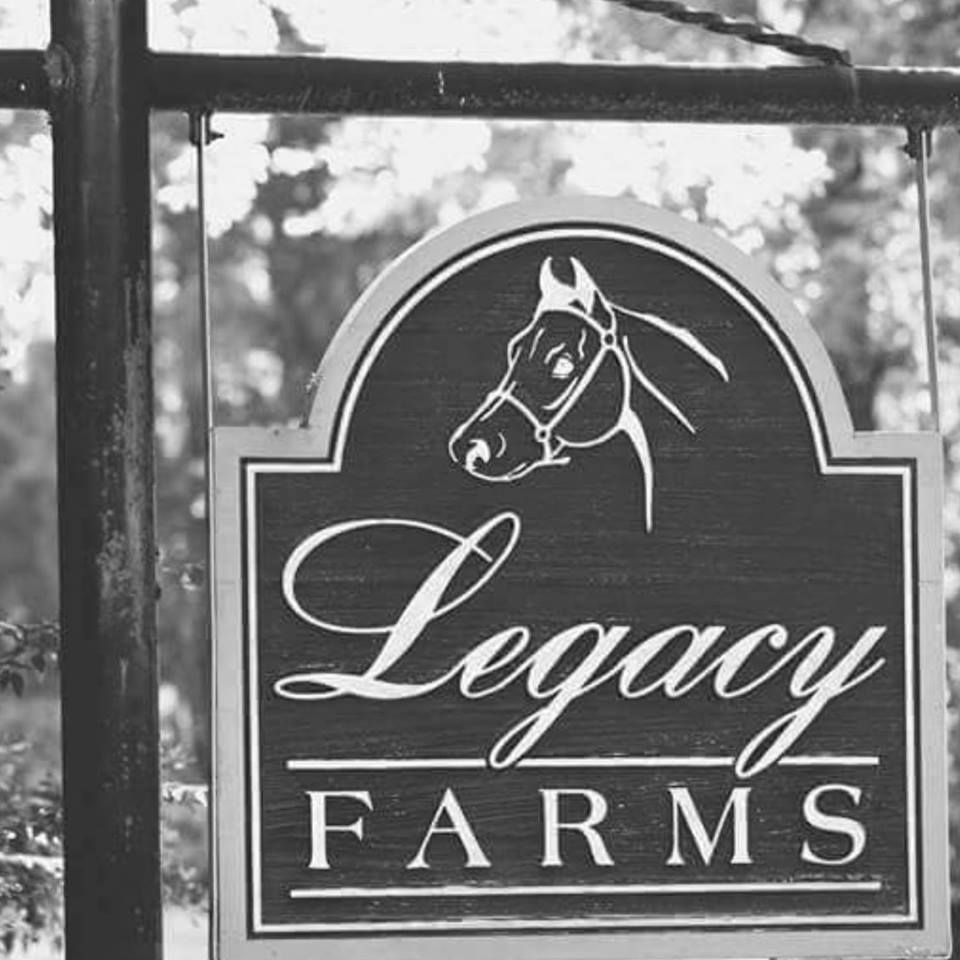 14203285_1211712012219915_3058754269313020647_n