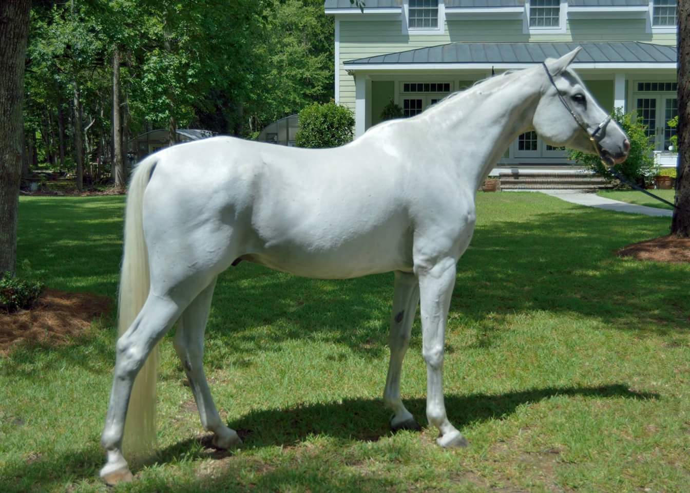 FB_IMG_1457313008416