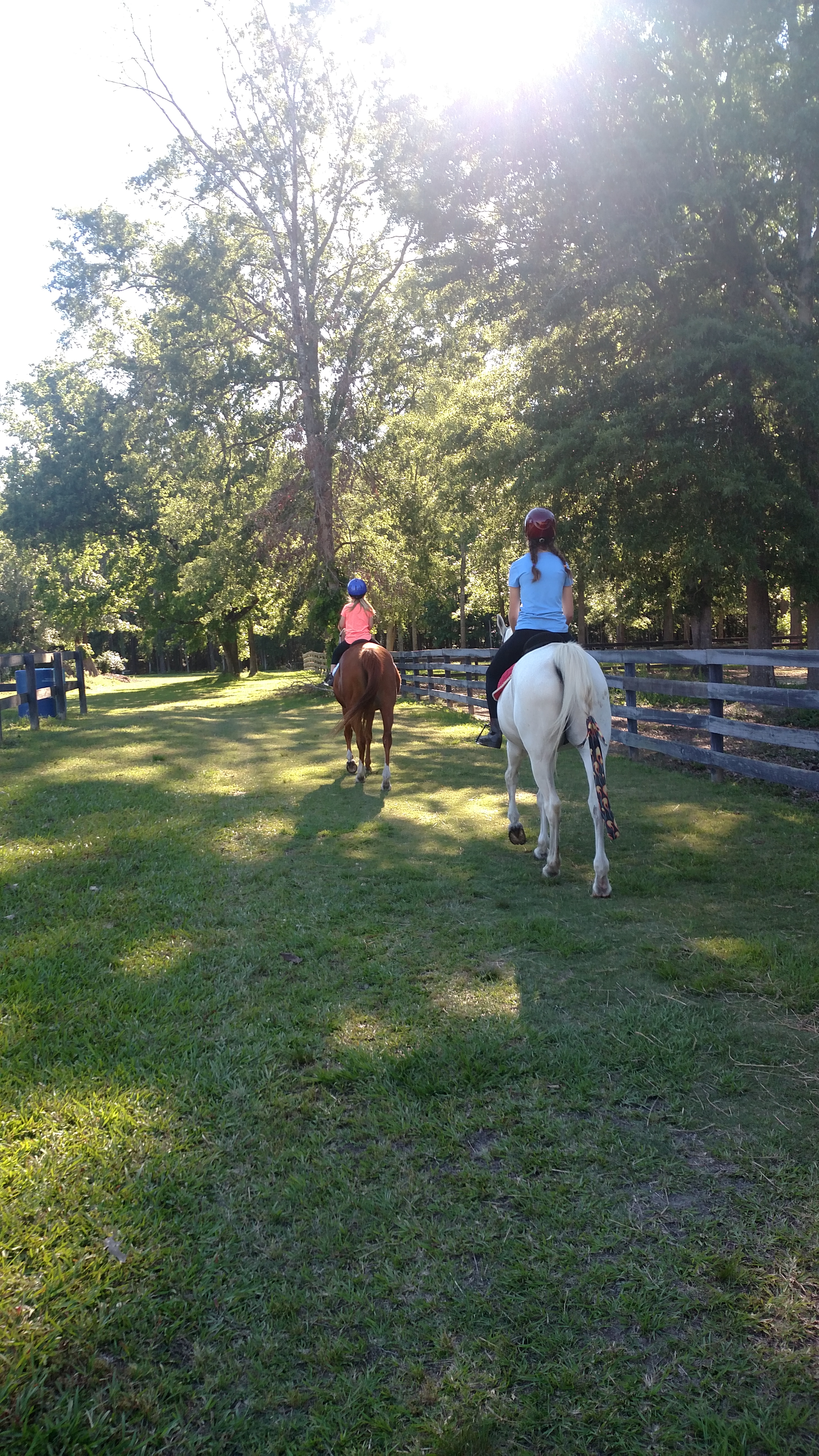 IMG_20170502_173507600