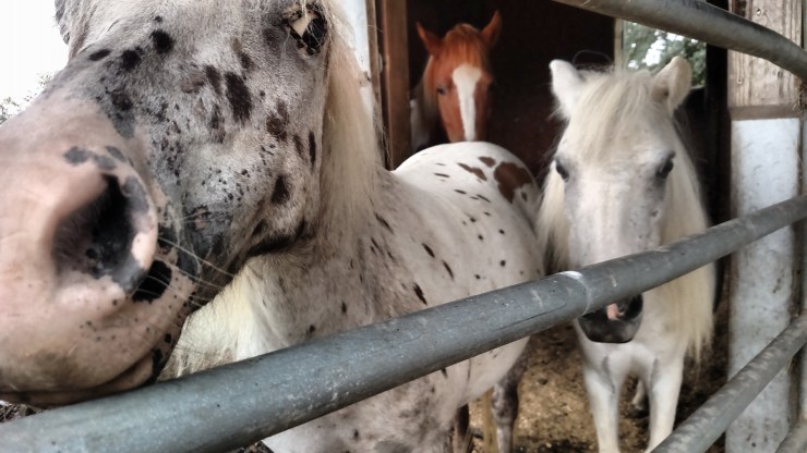 IMG_20170830_155018352