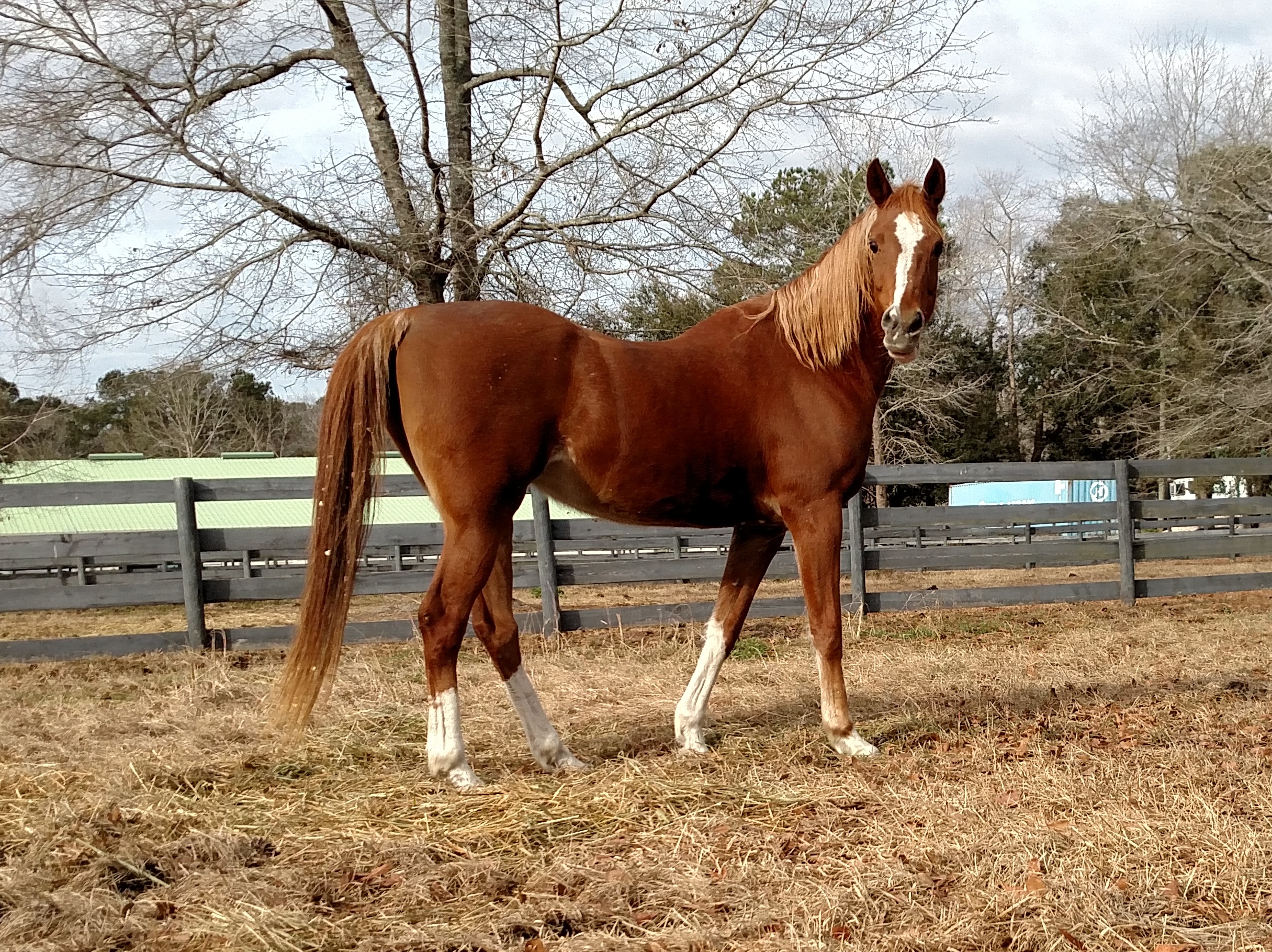 IMG_20180202_095858137