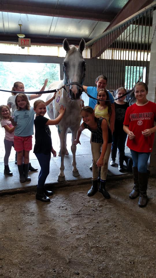 38286855_1953819911342451_812760726123839488_n